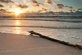 Gold Coast Salt Air